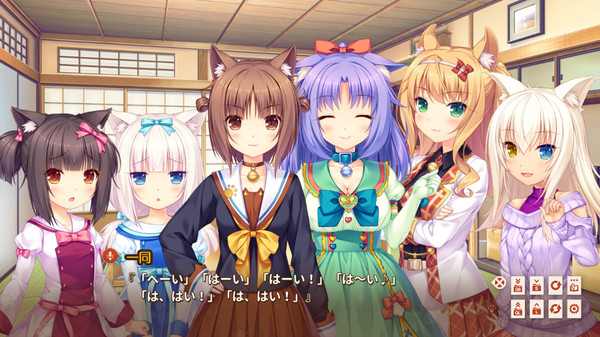 巧克力与香子兰Eextra/NEKOPARA Extra-小树基地