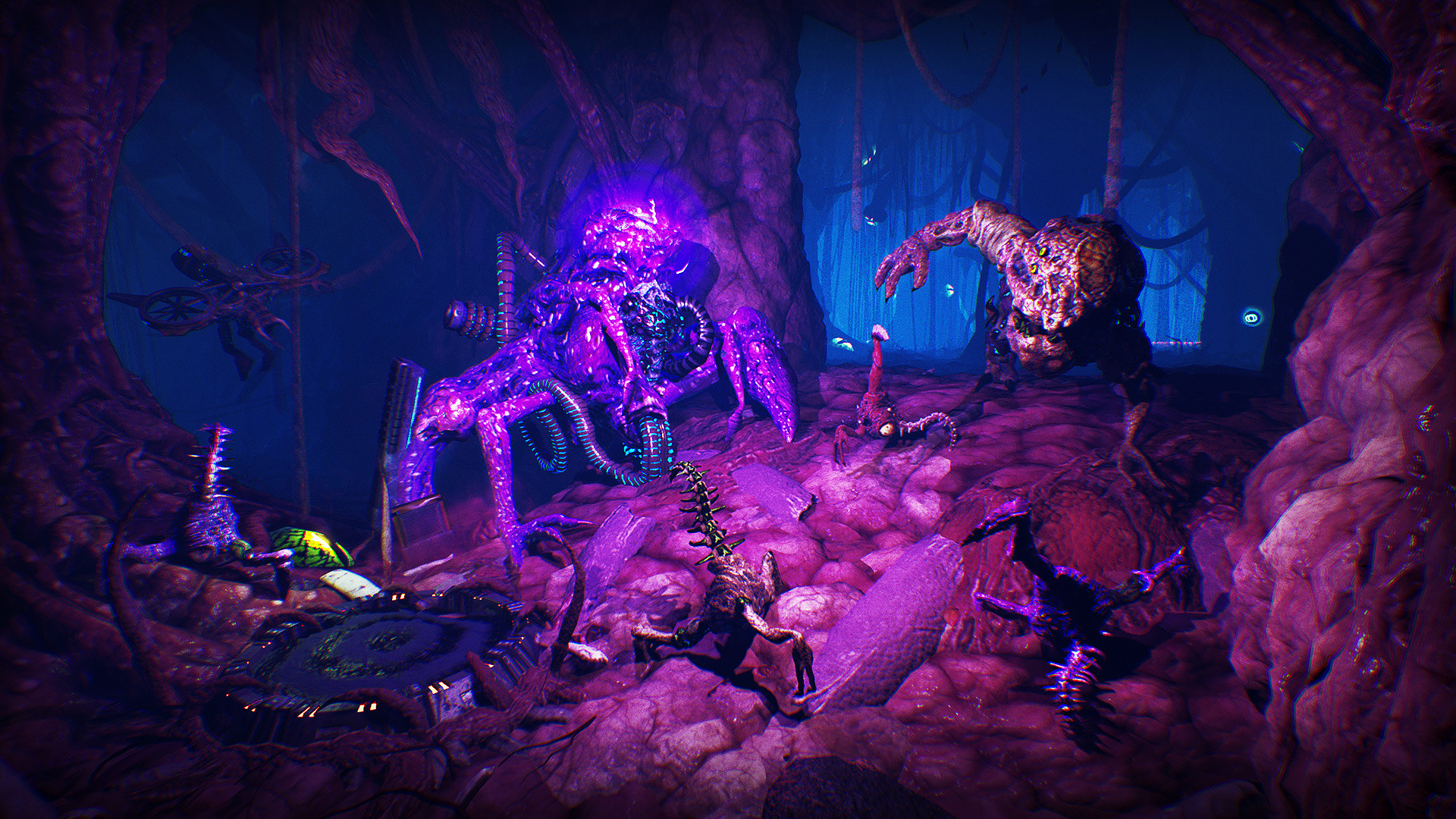 Arboria/Arboria 截图 22