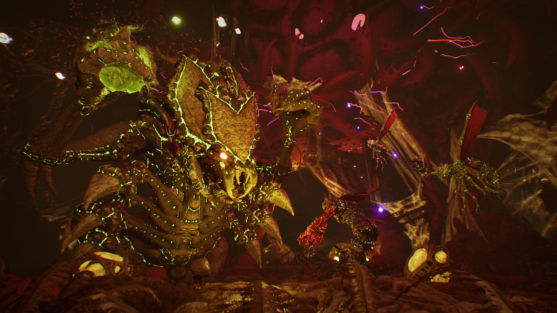 Arboria/Arboria 截图 25