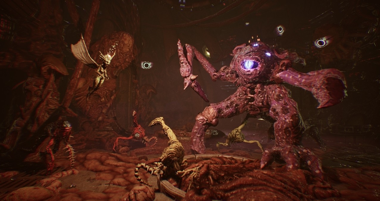 Arboria/Arboria 截图 14